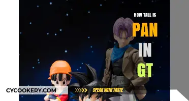 Pan's Height in GT: How Tall Does He Stand?