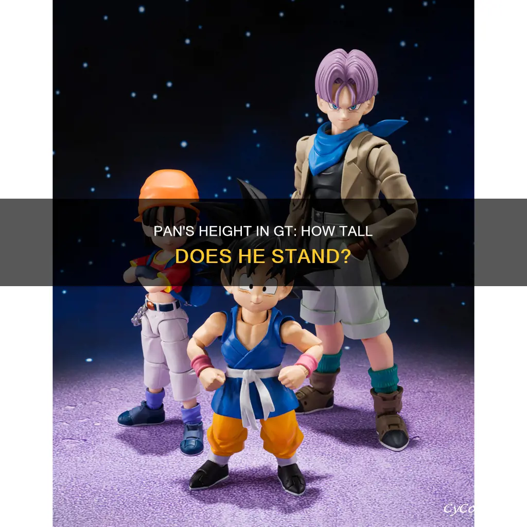 how tall is pan in gt
