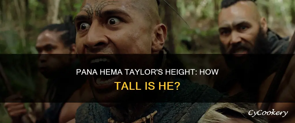how tall is pana hema taylor leaves brokenwood