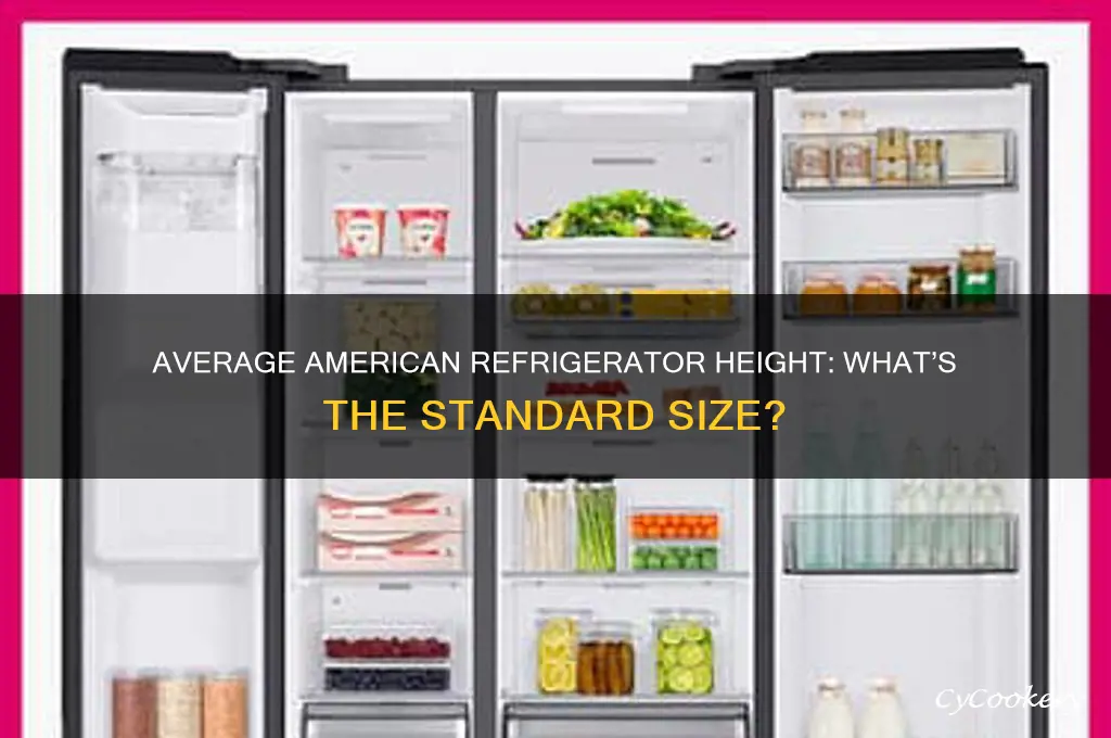 how tall is the typical american refrigerator