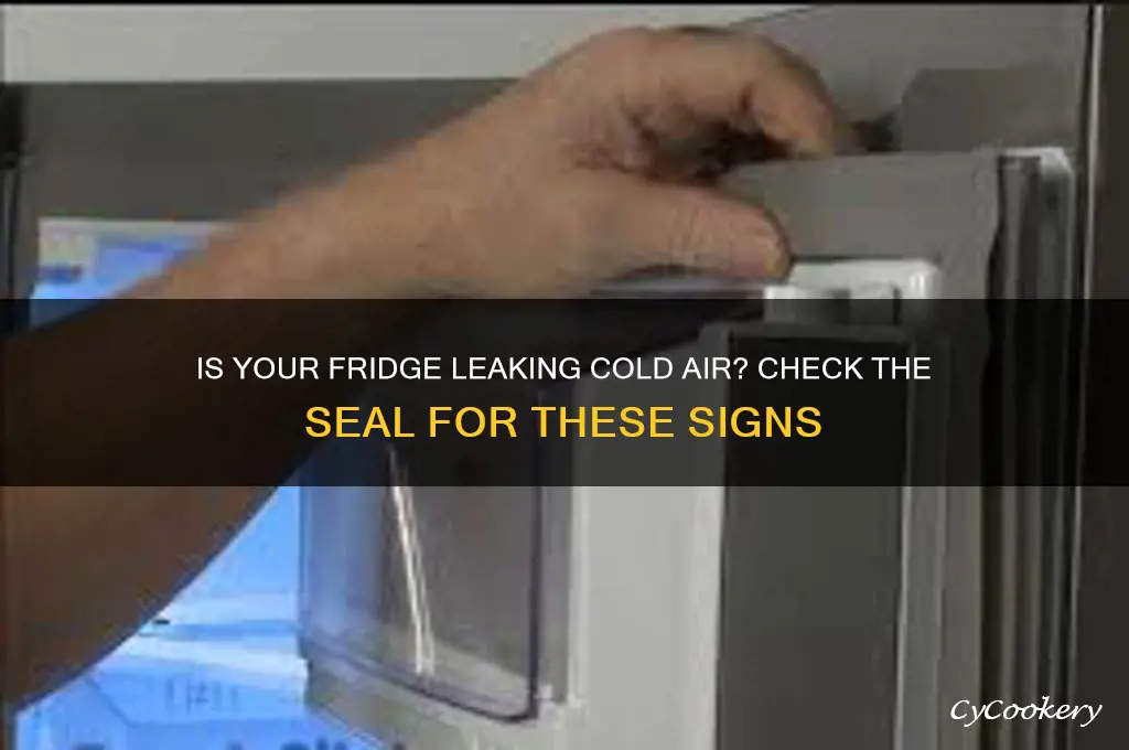 how tell if refrigerator seal is bad