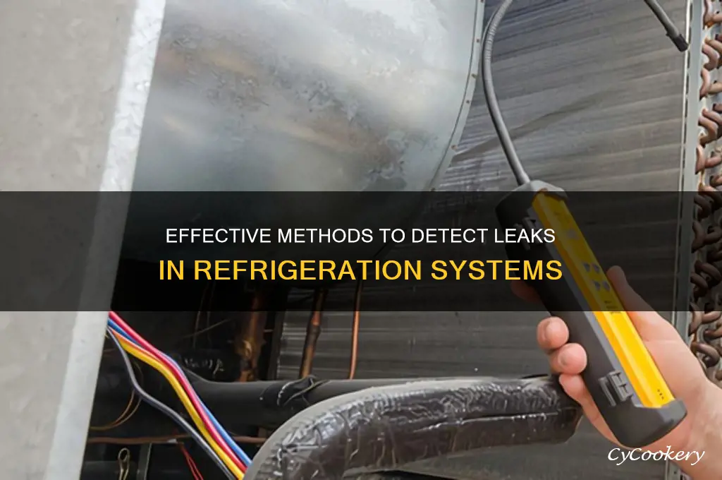 how test for leaks in a refrigeration systems