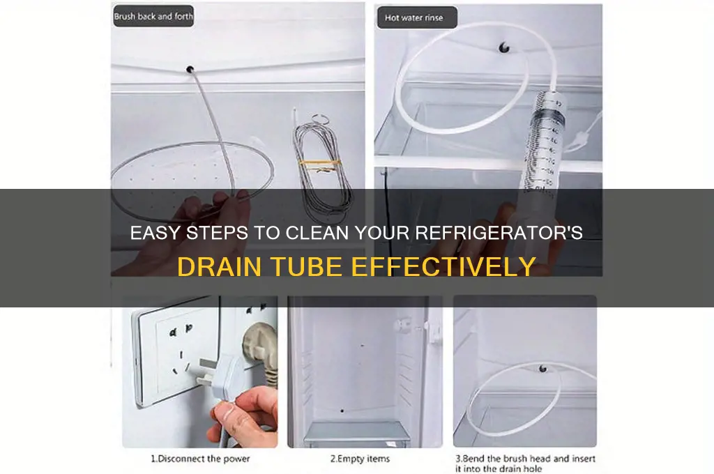 how the clean out the drain tube in refrigerator