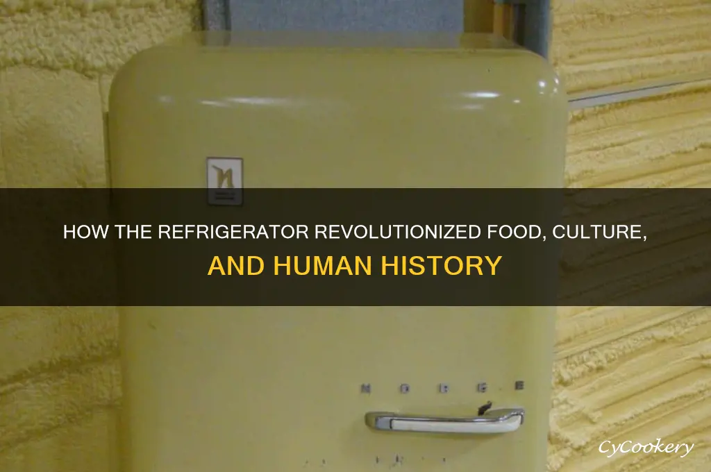 how the refrigerator changed history reading plus