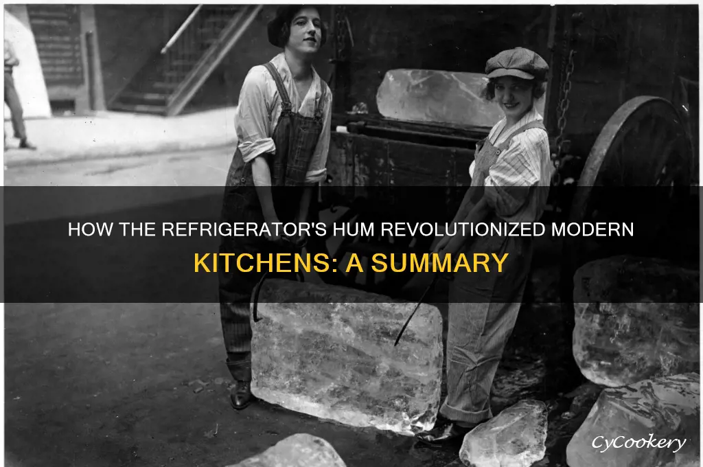how the refrigerator got its hum summary cown