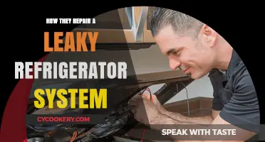 Fixing a Leaky Fridge: Step-by-Step Refrigerator System Repair Guide