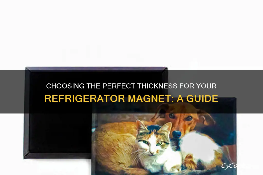 how thick do you want refrigerator magnet