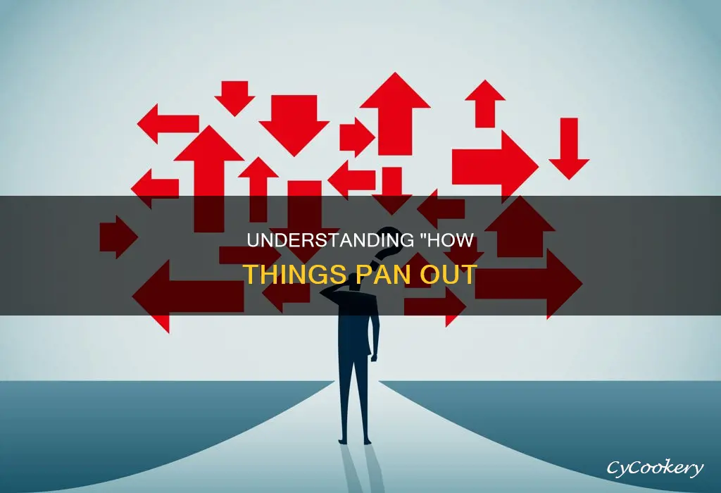 how things pan out definition