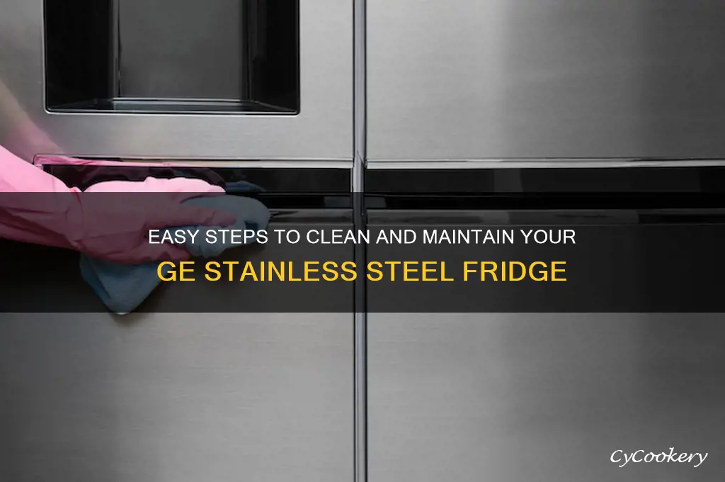 how ti clean ge stainless steel refrigerator