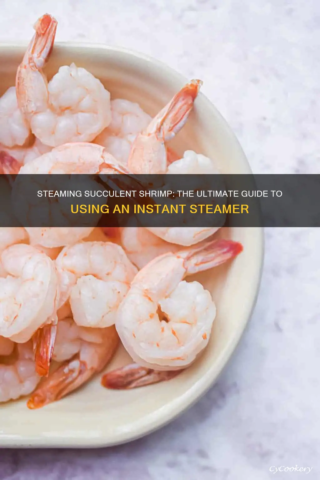 how ti cook shrimp in an ister steamer