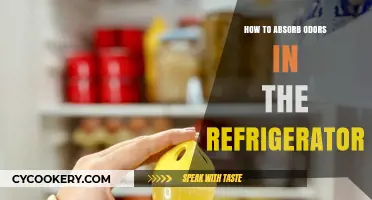 Fresh Fridge Secrets: Effective Ways to Absorb Odors Naturally