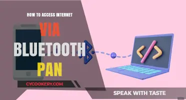Bluetooth PAN: Accessing the Internet Wirelessly