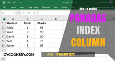Accessing Pandas Index Column: Quick Guide
