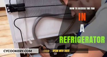 Easy Steps to Access and Clean Your Refrigerator Fan