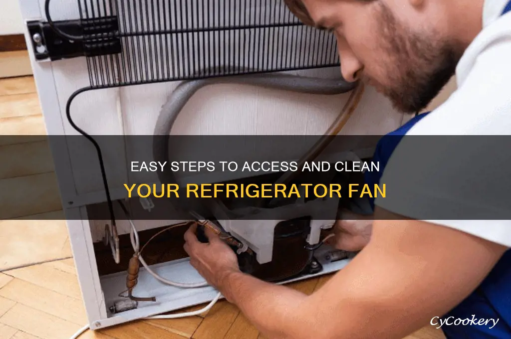 how to access the fan in a refrigerator