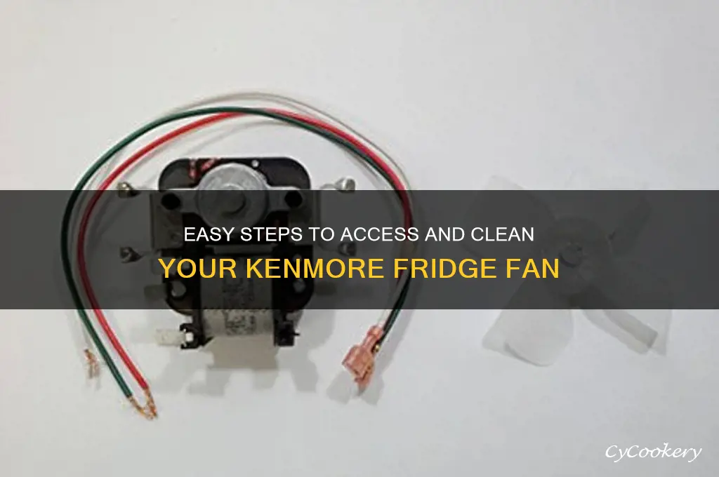 how to access the fan on my kenmore refrigerator