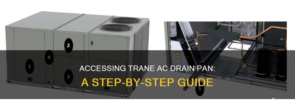 how to access trane ac drain pan