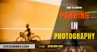 Mastering Motion: Panning Photography Techniques