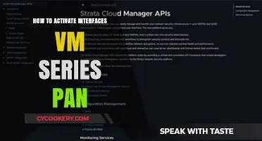 Activating VM Series PAN Interfaces: A Step-by-Step Guide