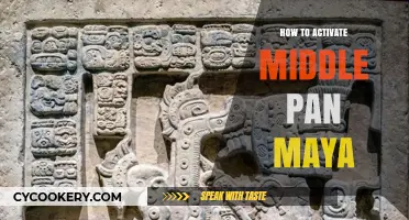 Activating Your Middle Pan Maya: A Guide