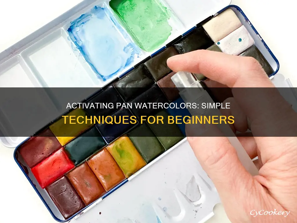 how to activate pan watercolors