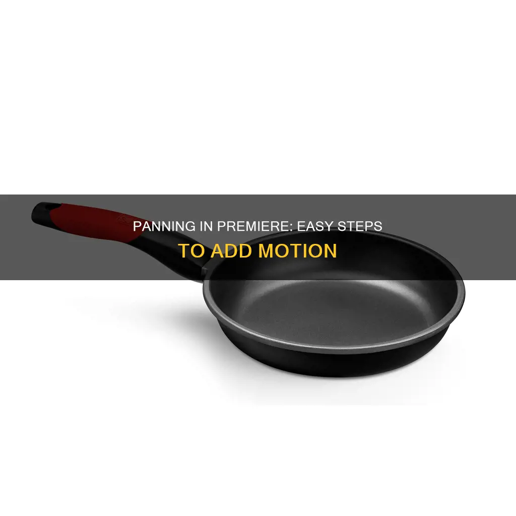 how to add a pan in premiere