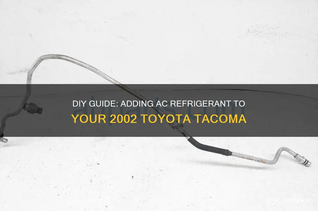 how to add ac refrigerant to 2002 tacoma