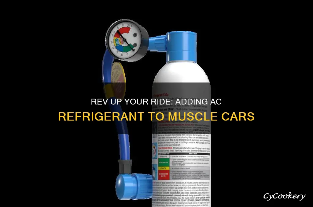 how to add ac refrigerant to a muscle car