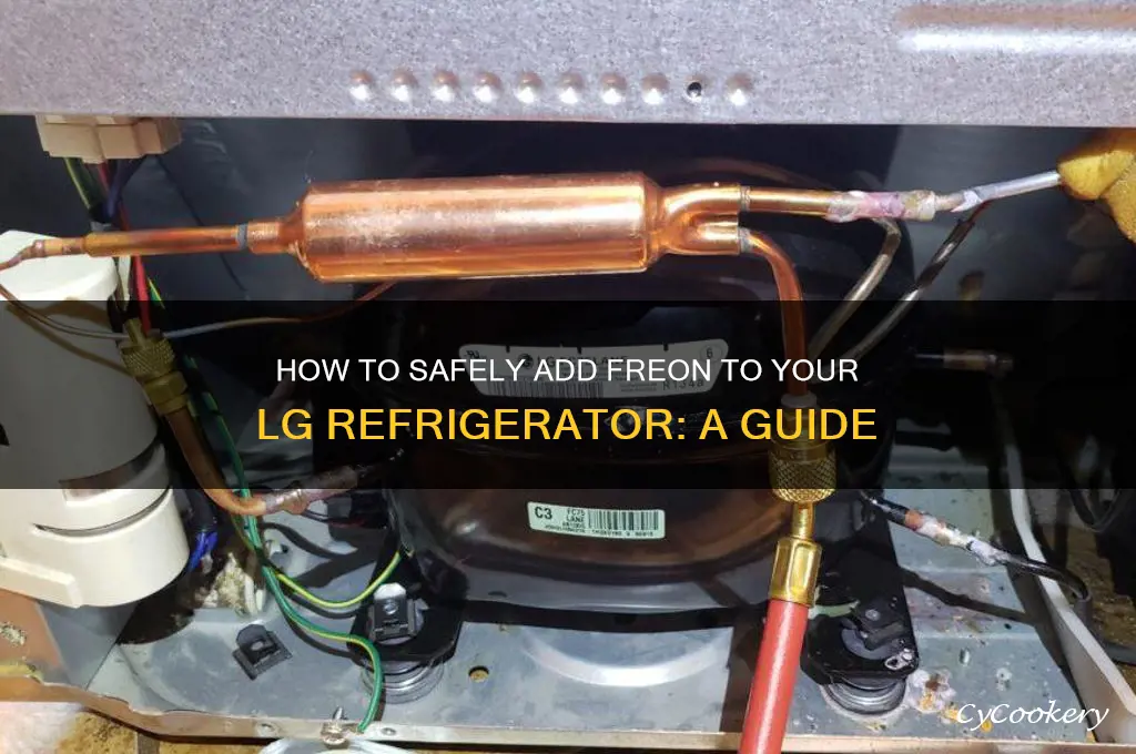 how to add freon to lg refrigerator