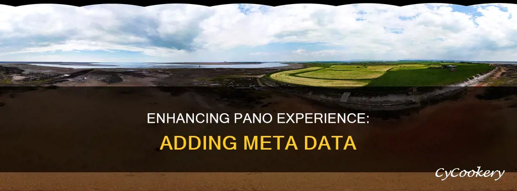 how to add meta data pano