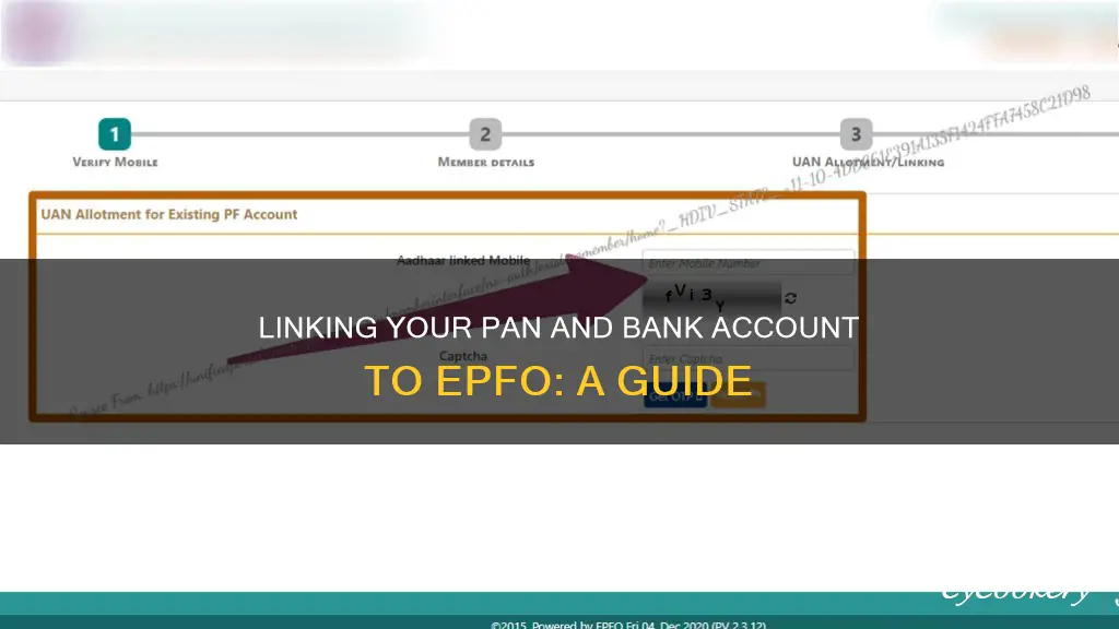 how to add pan and bank account in epfo
