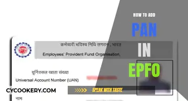 Linking PAN to EPFO: A Simple Guide