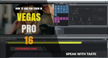 Master Pan and Zoom in Vegas Pro 16