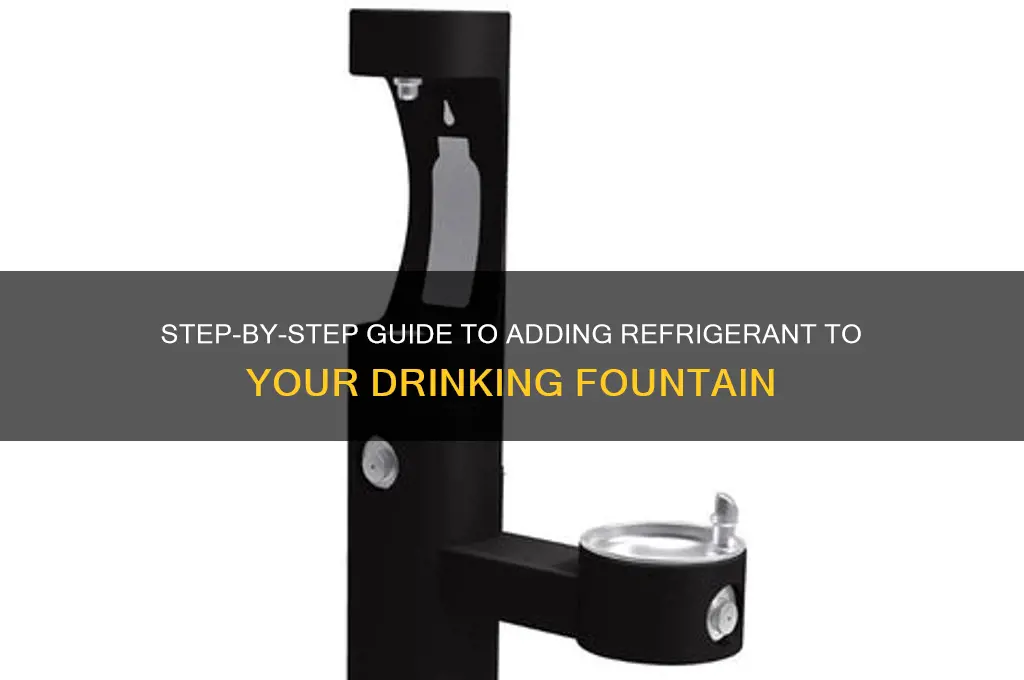 how to add refrigerant a drinking fountain