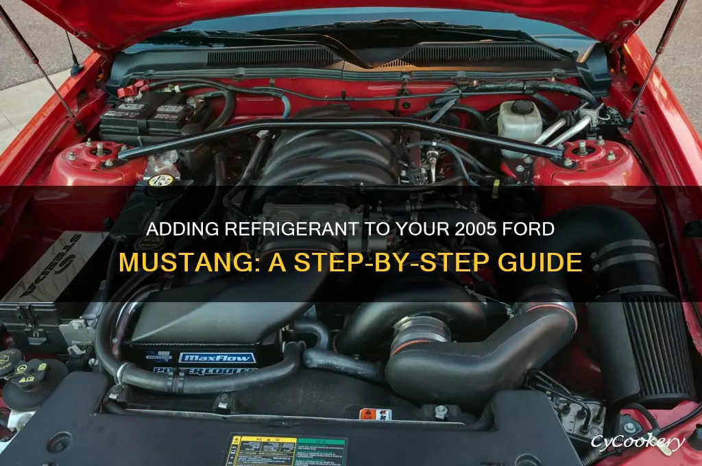 how to add refrigerant in 2005 ford mustang