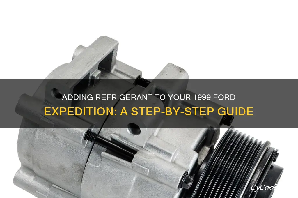 how to add refrigerant in 99 ford expedition