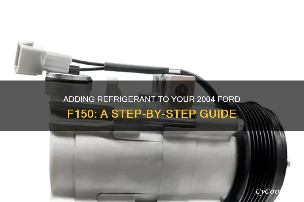 how to add refrigerant in a 2004 ford f150