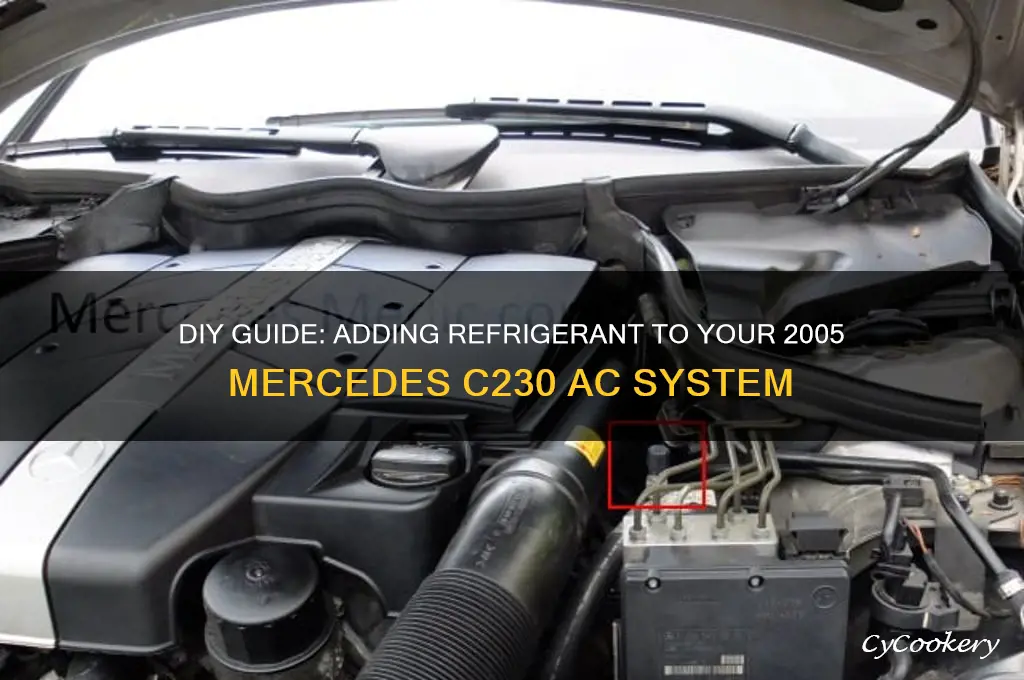 how to add refrigerant in a 2005 mercedes c230