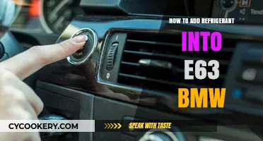Step-by-Step Guide to Adding Refrigerant in Your BMW E63