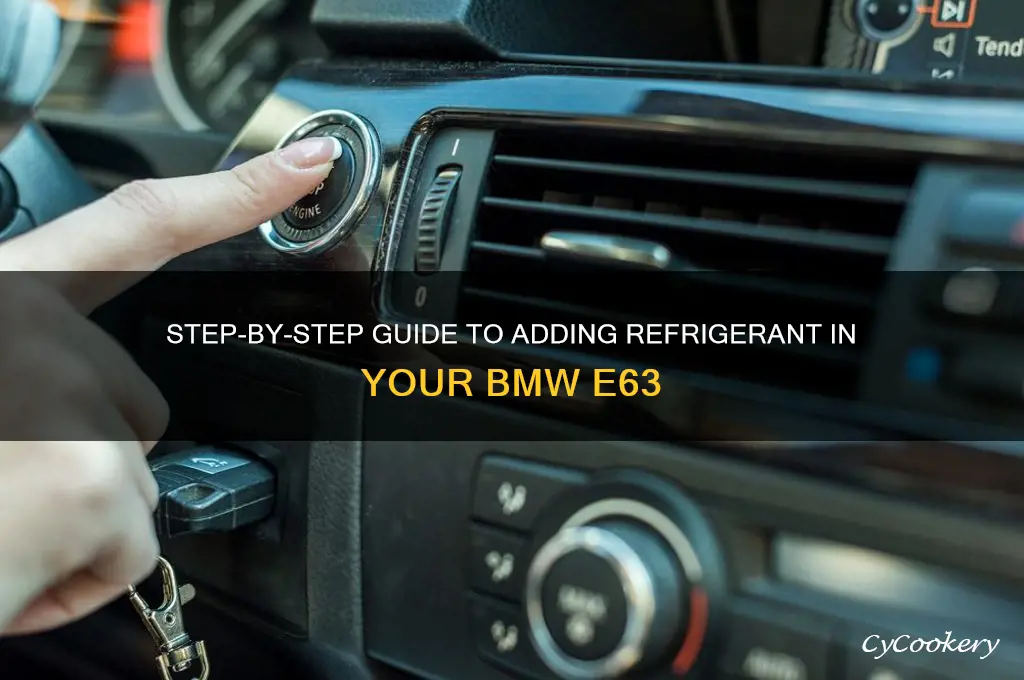 how to add refrigerant into e63 bmw