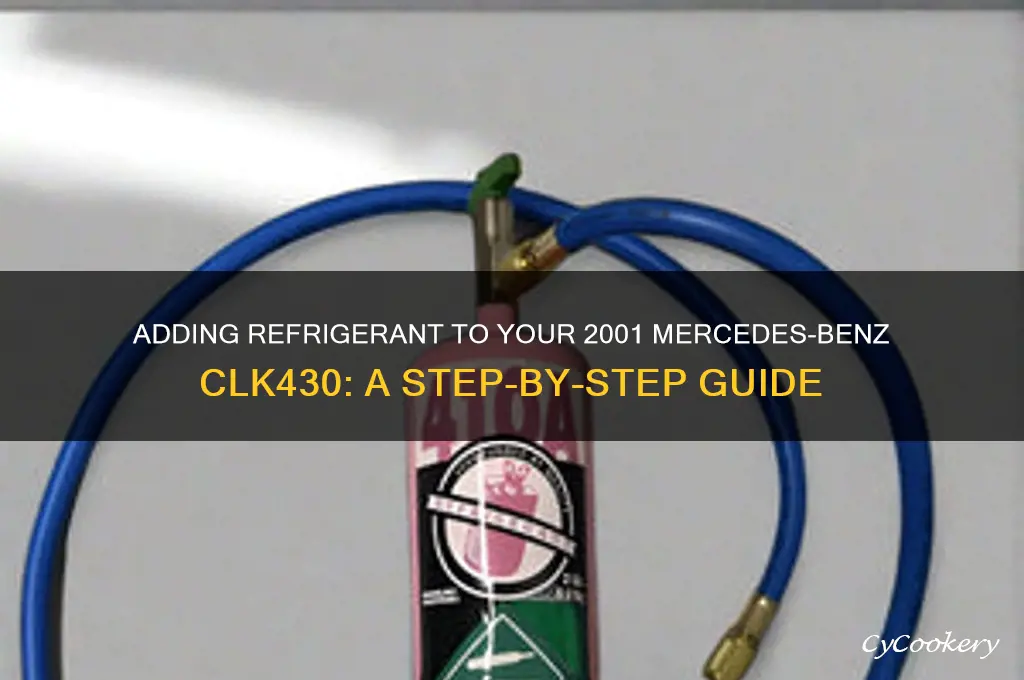 how to add refrigerant to 2001 mercedes benz clk430