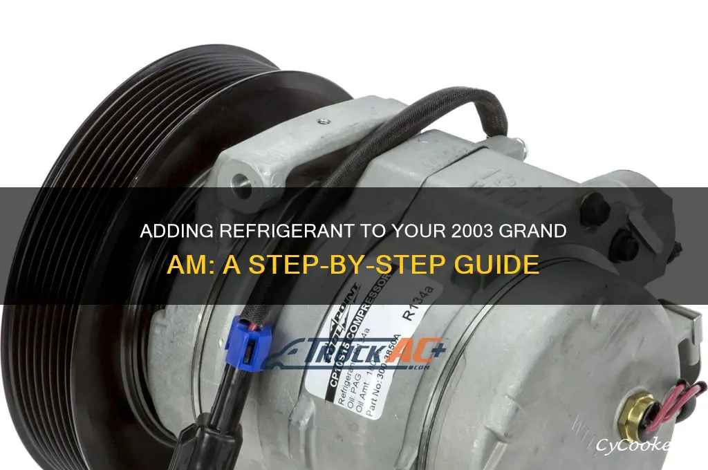 how to add refrigerant to 2003 grand am