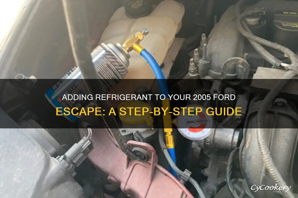 how to add refrigerant to 2005 ford escape