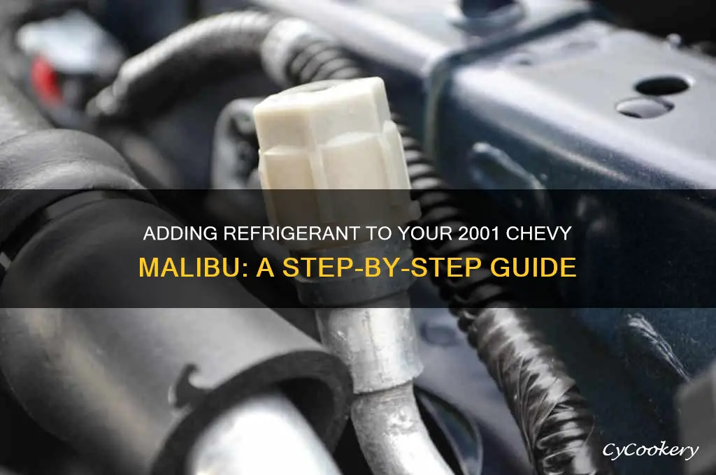 how to add refrigerant to a 2001 chevy malibu