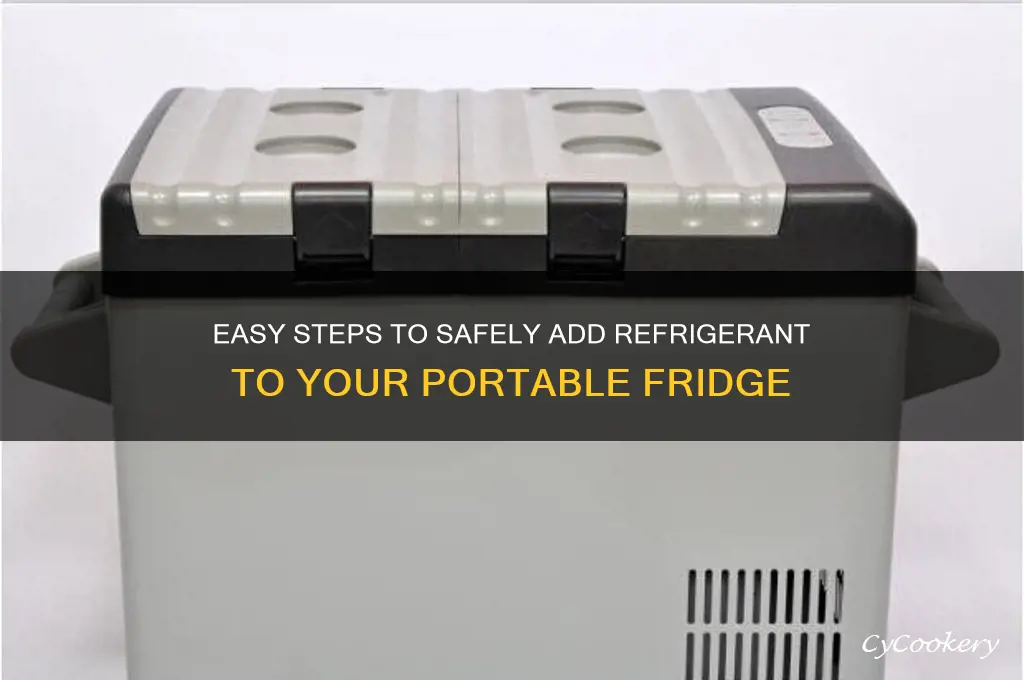 how to add refrigerant to a portable refrigerator