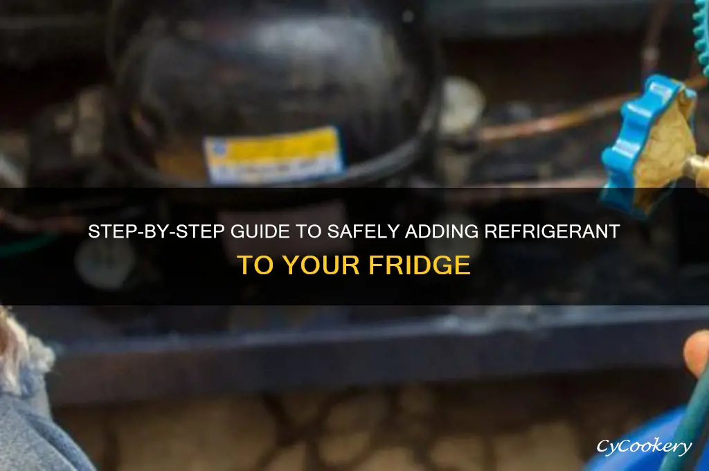 how to add refrigerant to a refrigerator