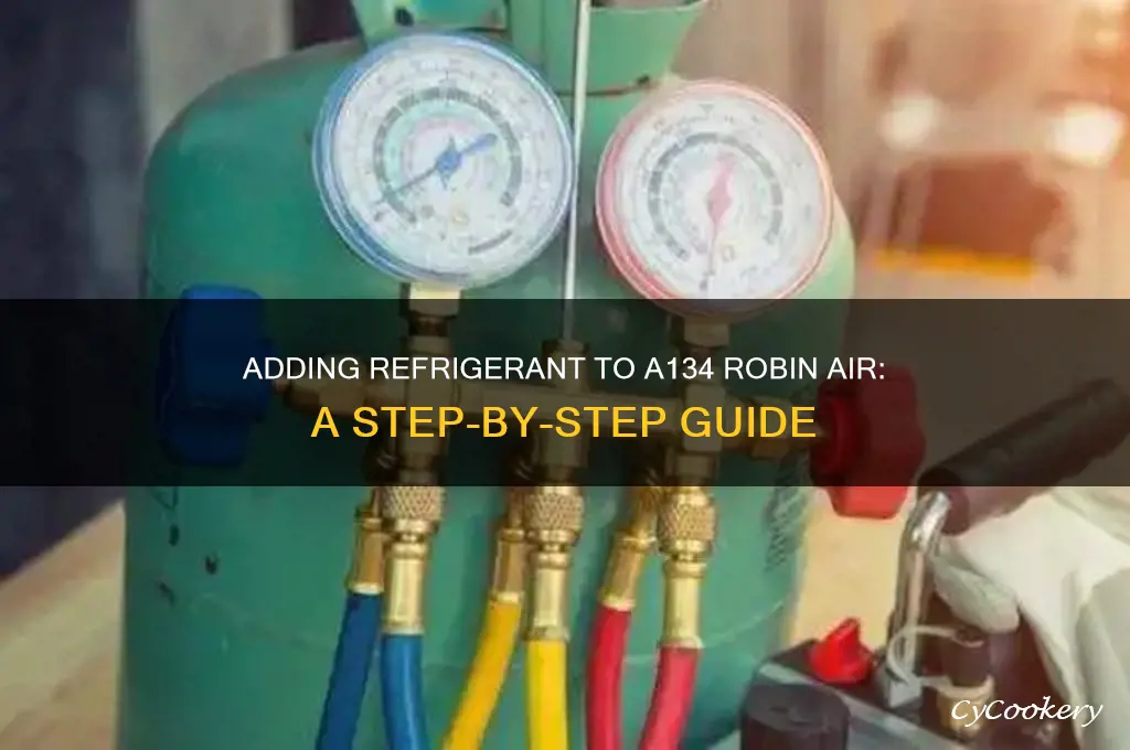 how to add refrigerant to a134 robin air