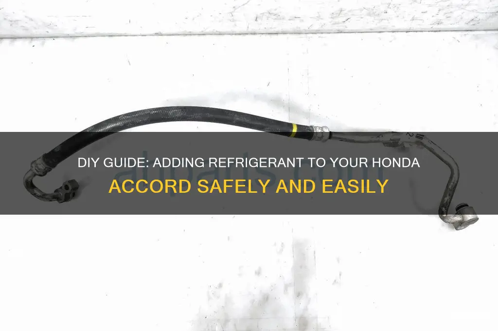 how to add refrigerant to honda accord