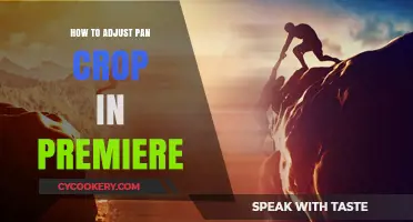 Adjusting Pan and Crop in Premiere: A Quick Guide