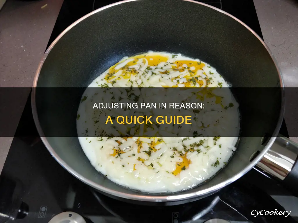 how to adjust pan on reason